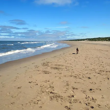-duinhuisje - Voor Families & Honden Nabij Noordwijk